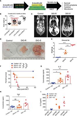 Mechanisms by Which Obesity Promotes Acute Graft-Versus-Host Disease in Mice